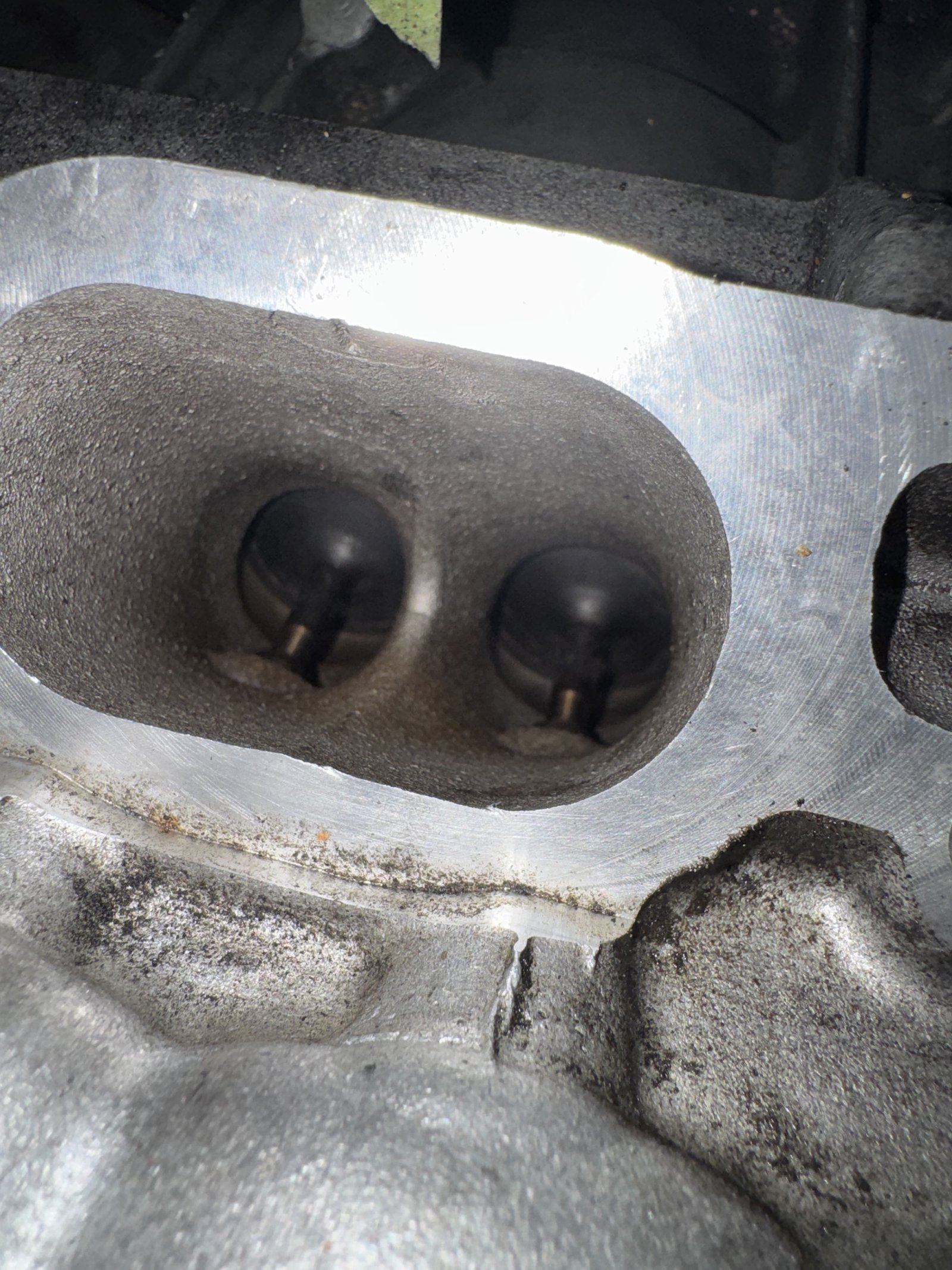 CLS63S intake valves after walnut blasting