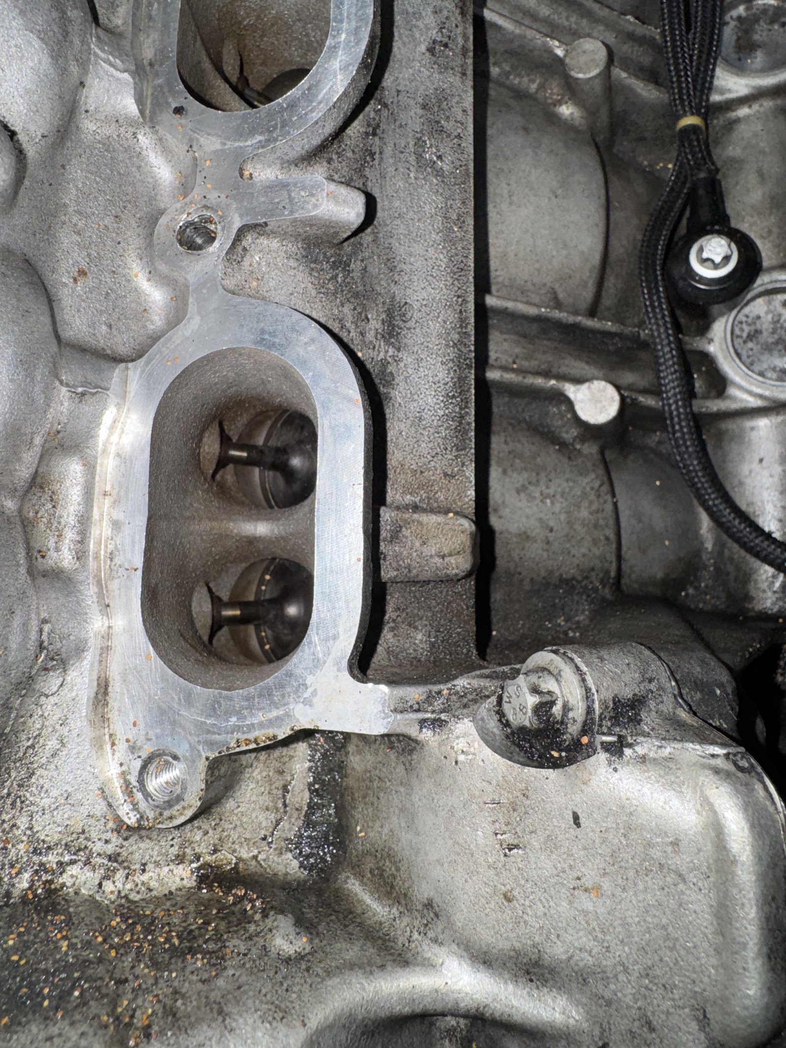 CLS63S intake valves after walnut blasting