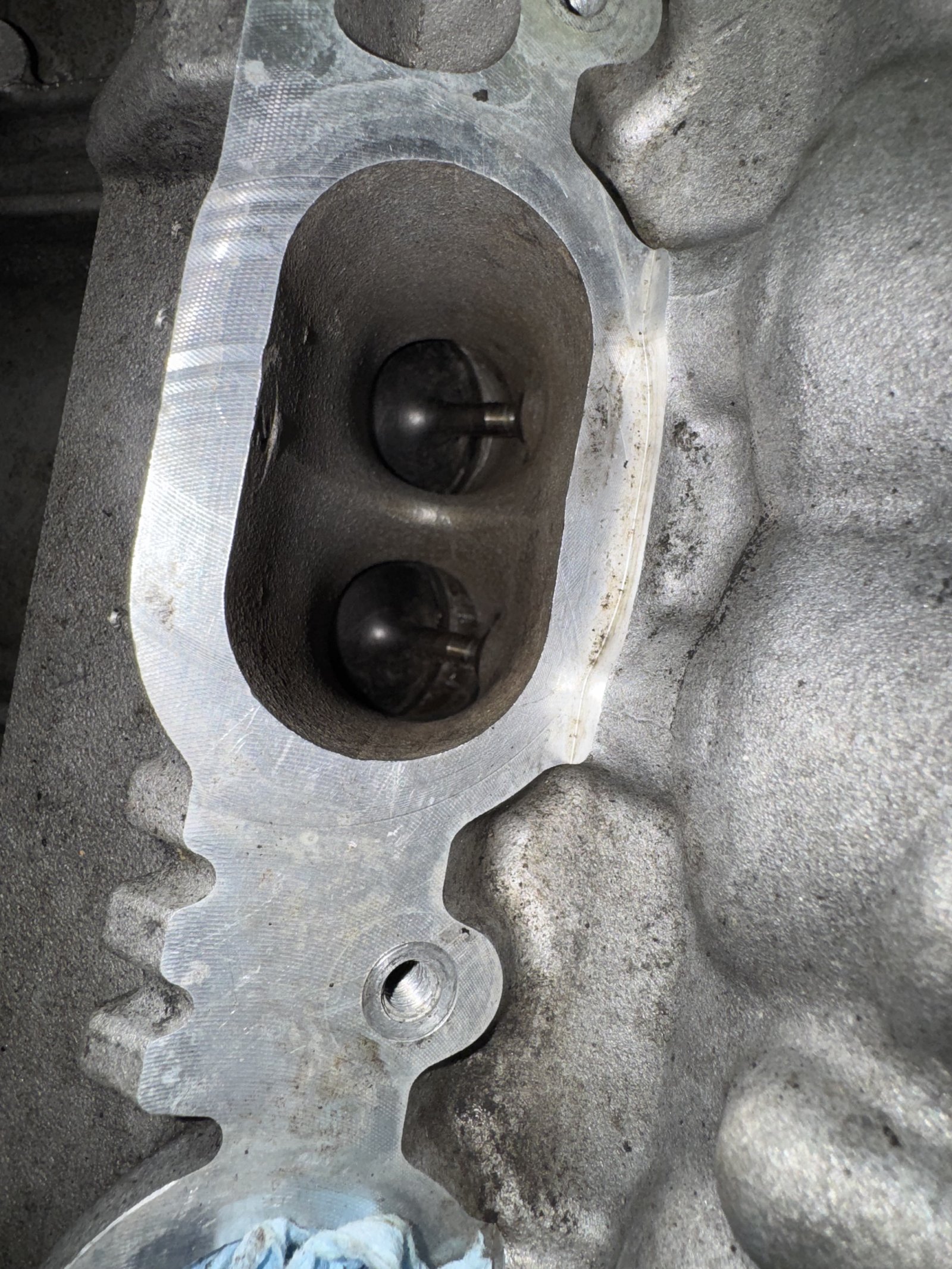 CLS63S intake valves after walnut blasting