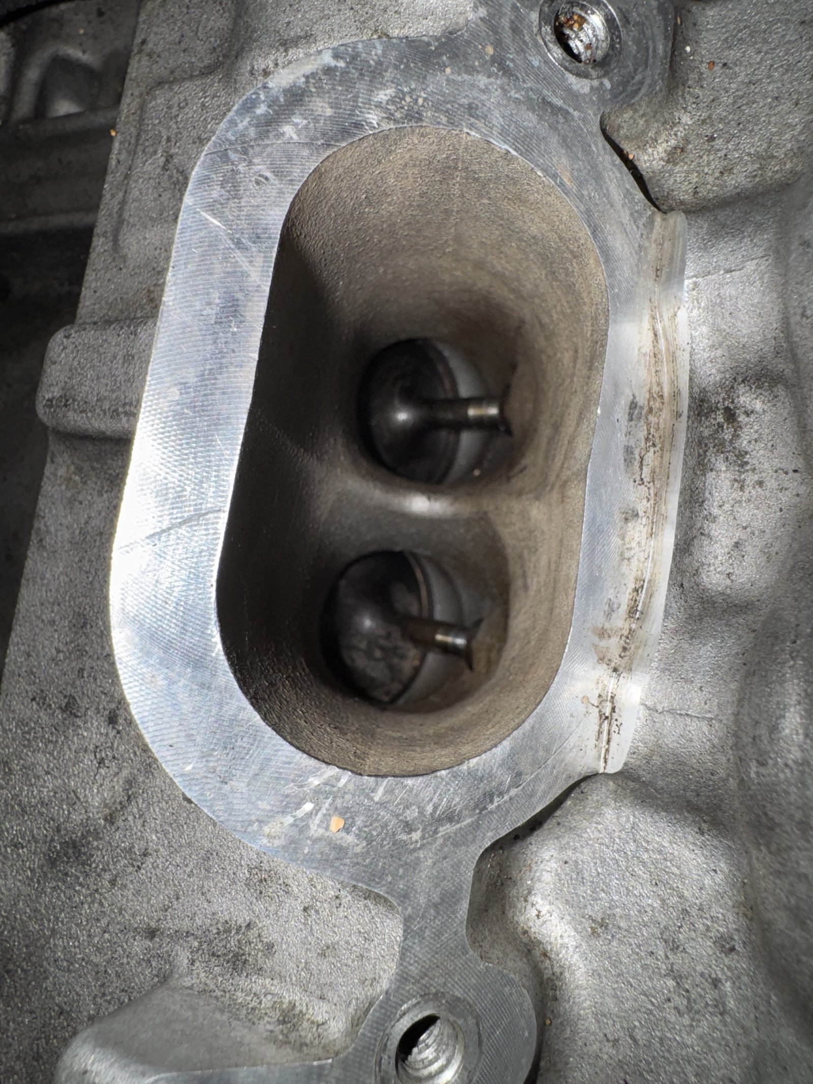 CLS63S intake valves after walnut blasting