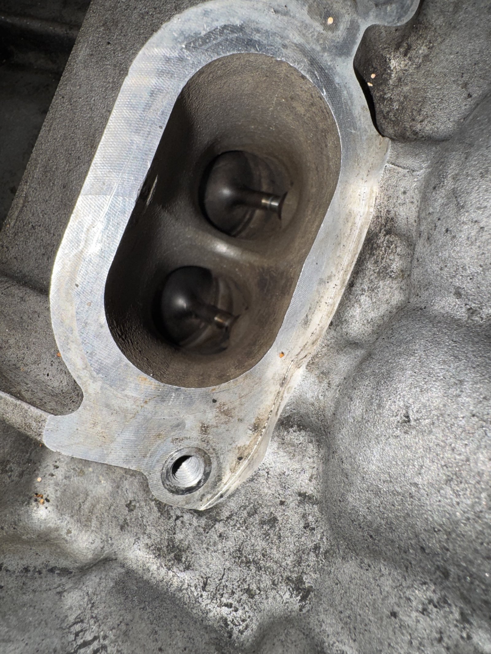 CLS63S intake valves after walnut blasting