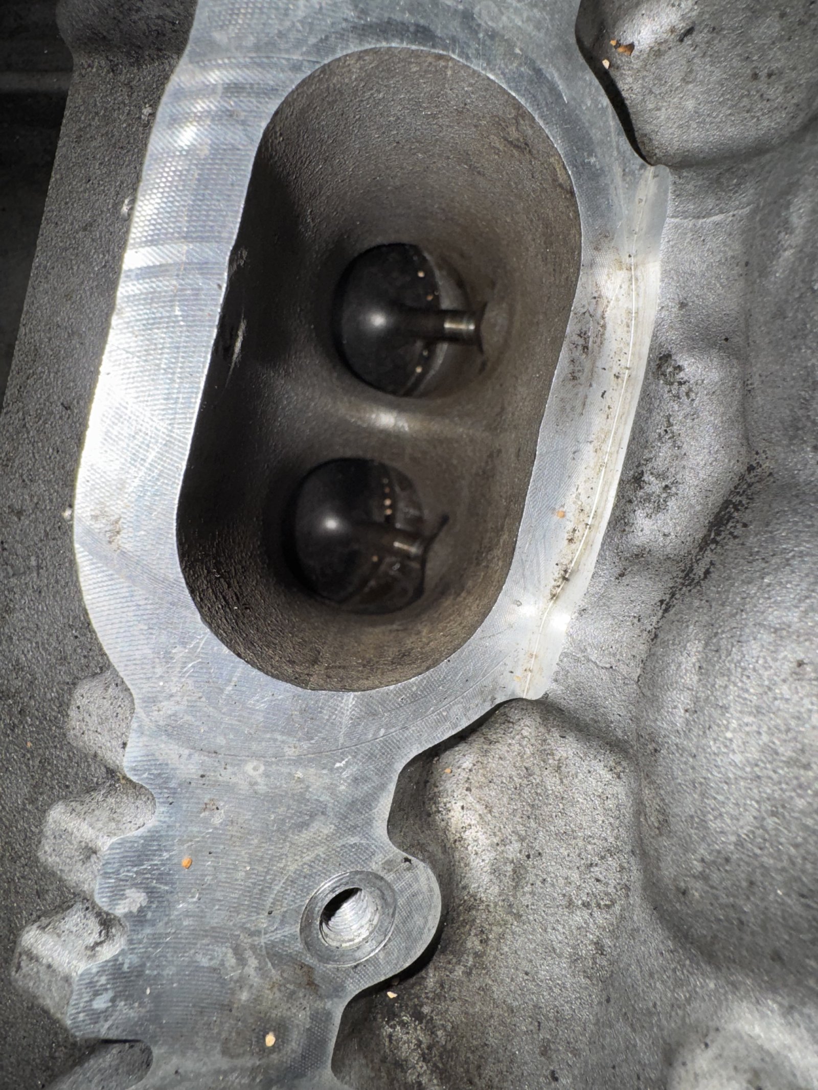 CLS63S intake valves after walnut blasting