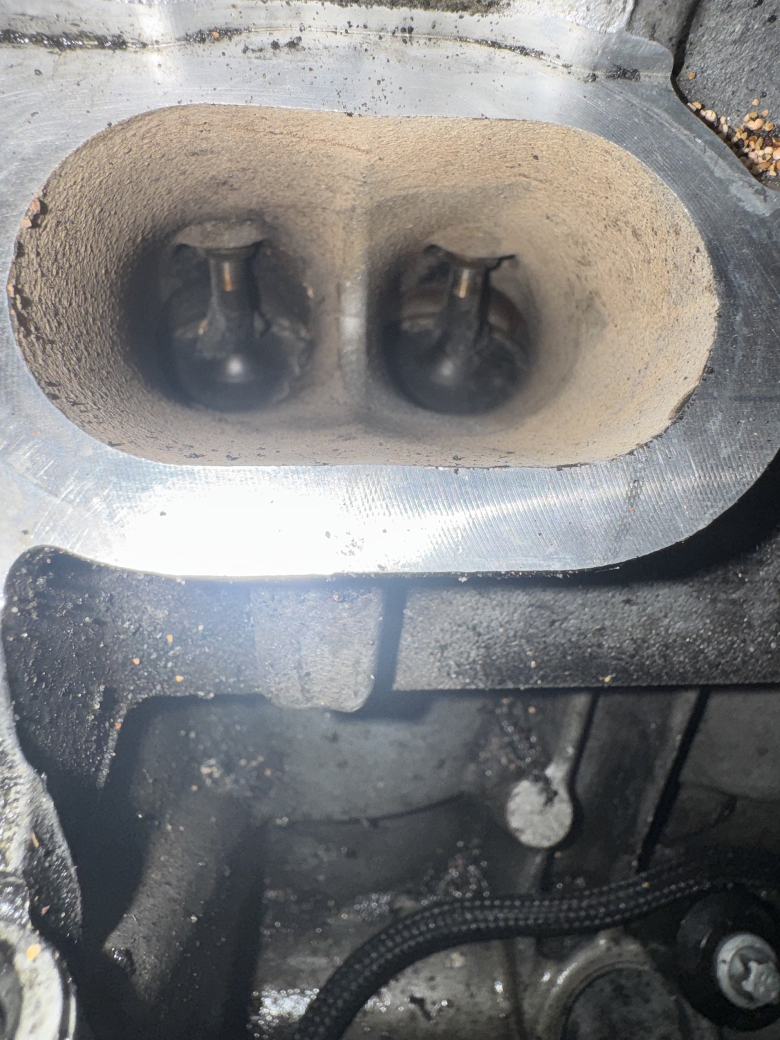 CLS63S intake valves before walnut blasting