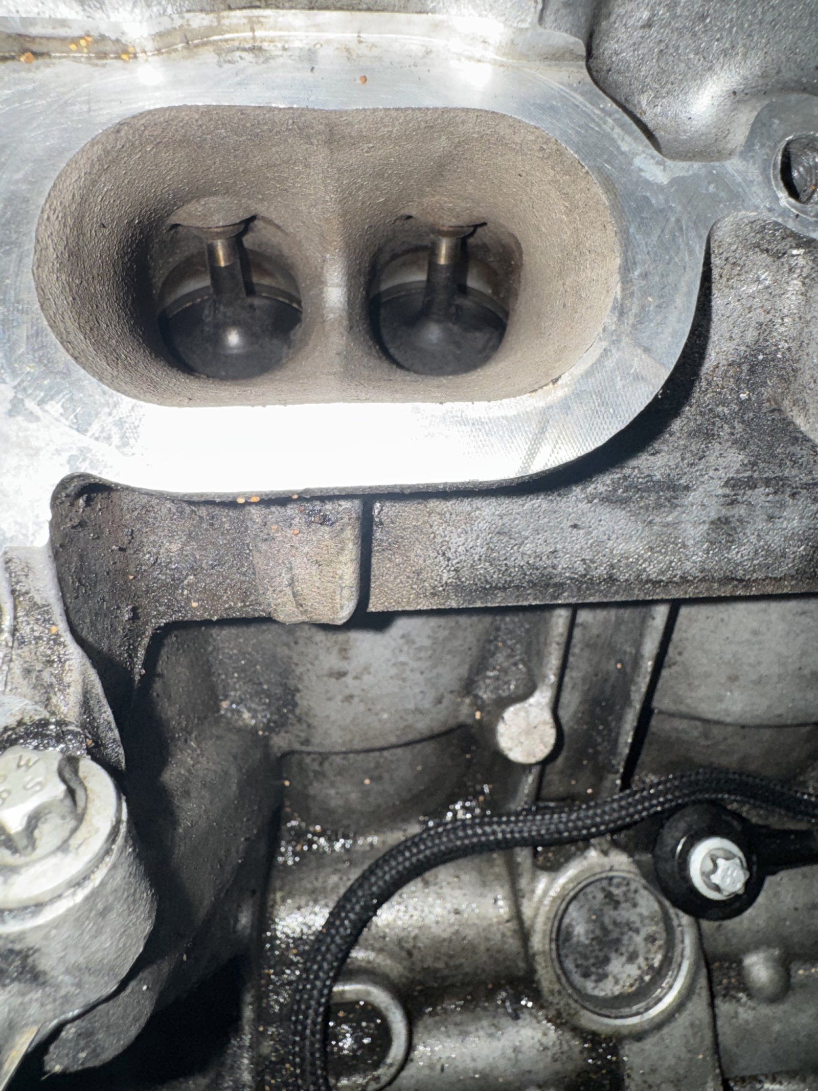 CLS63S intake valves before walnut blasting