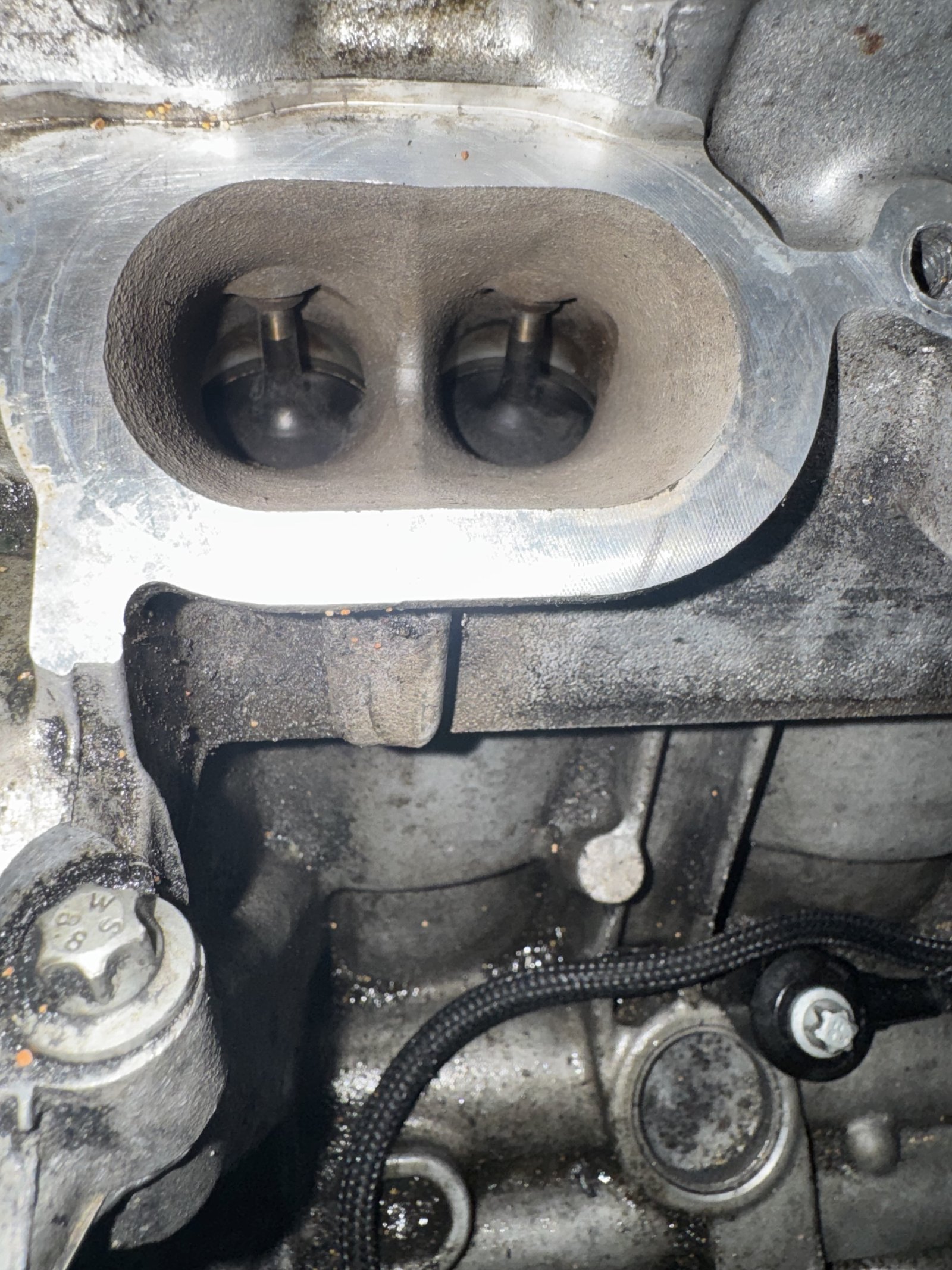 CLS63S intake valves before walnut blasting